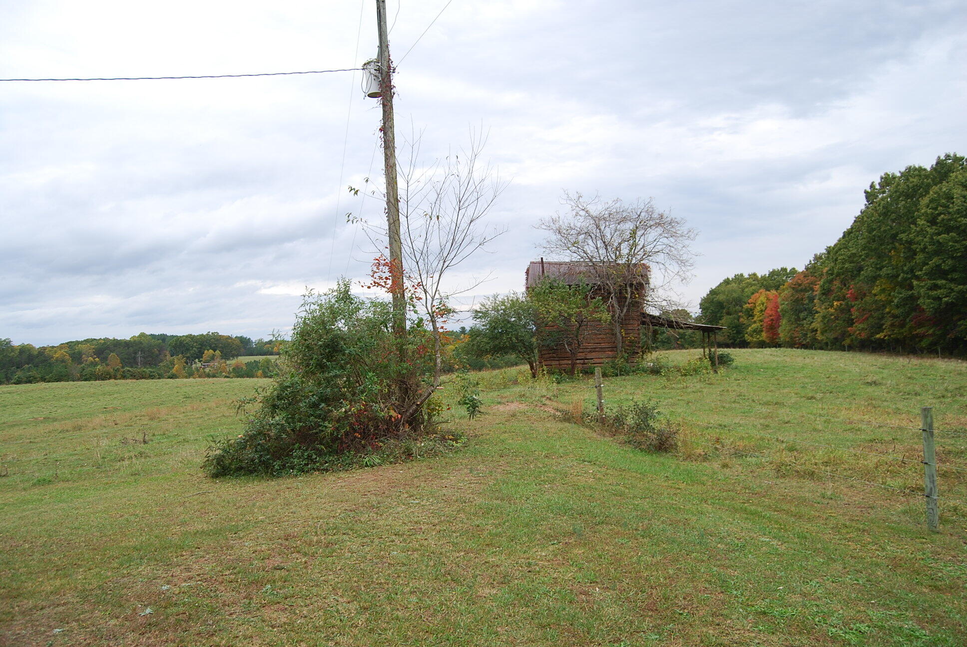 410 Mill Run Road Chatham, VA 24531 - Photo 10 of 34 a view of a field with a tree in the background