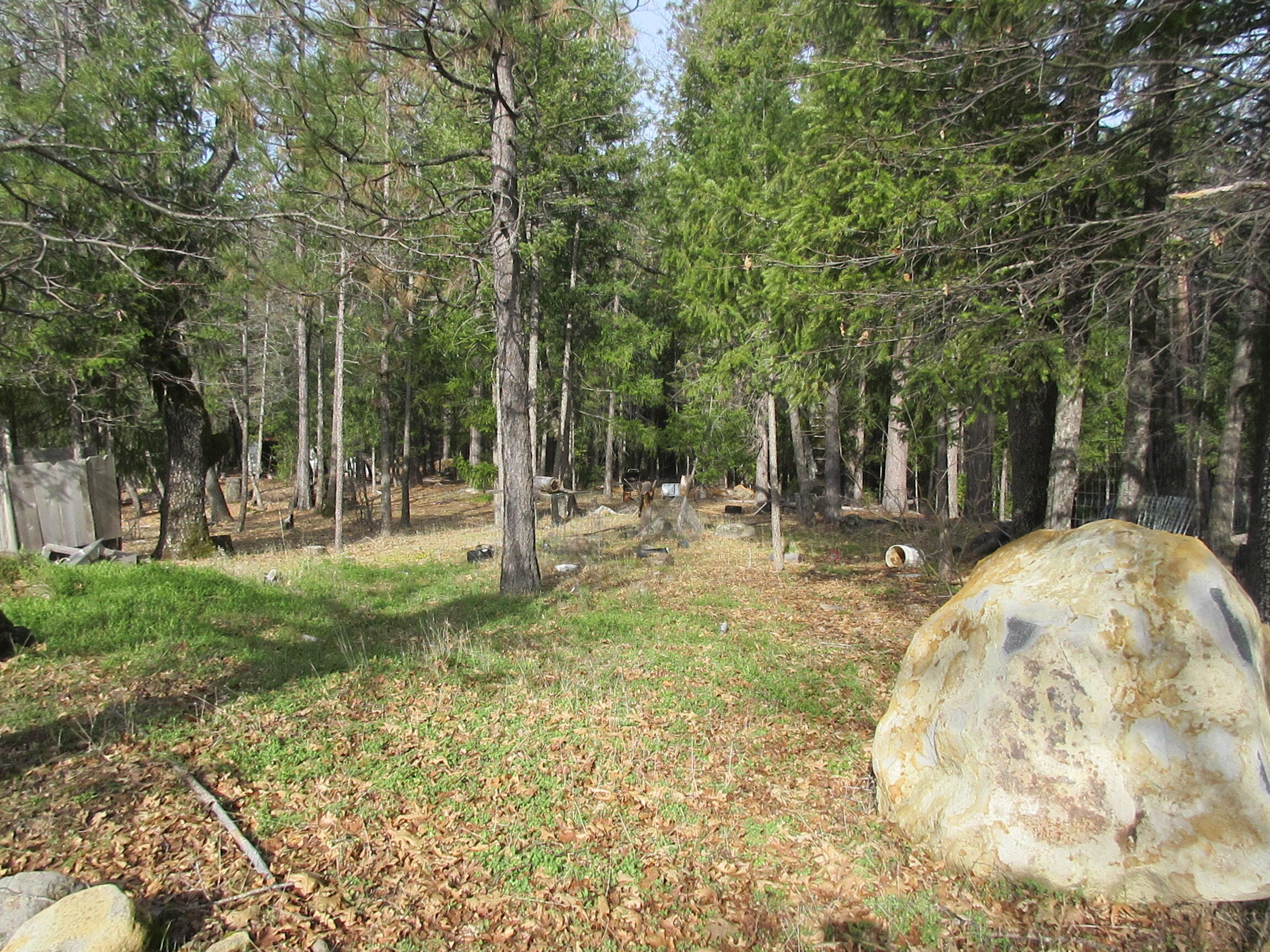 30425 Frontier Road Oak Run, CA 96069 - Photo 3 of 35 a view of outdoor space with trees