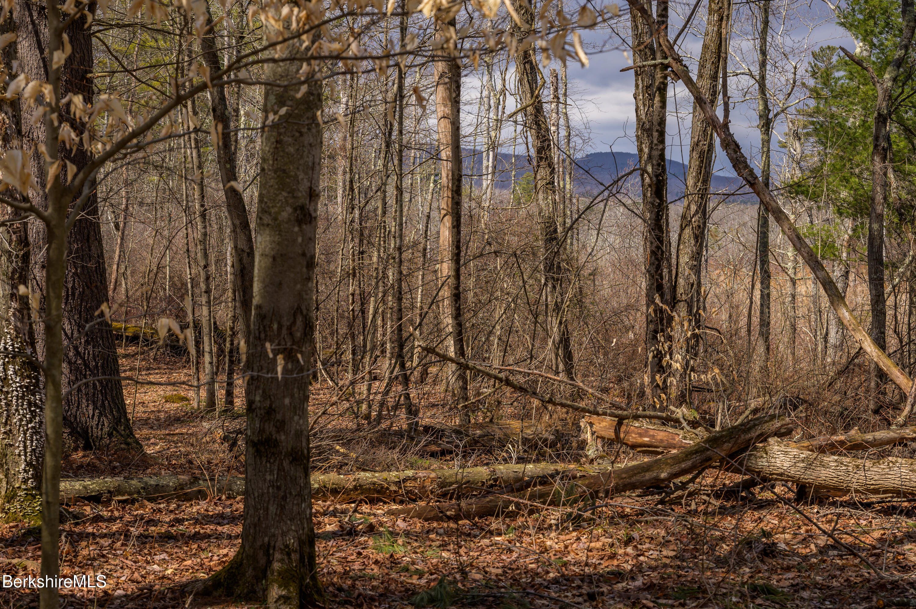 0 Swamp Road Pittsfield, MA 01201 - Photo 23 of 30 Print - 00 Swamp Rd Richmond MA 01254-84