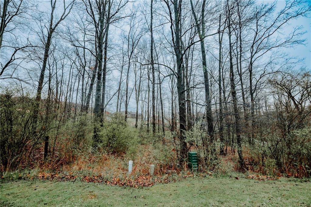 0 West Oak Court Indiana, PA 15701 - Photo 3 of 8 a backyard of a house with lots of green space