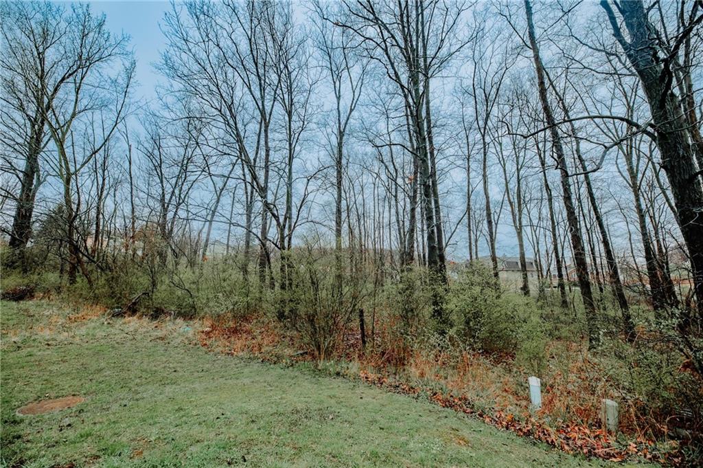 0 West Oak Court Indiana, PA 15701 - Photo 4 of 8 a view of backyard with green space