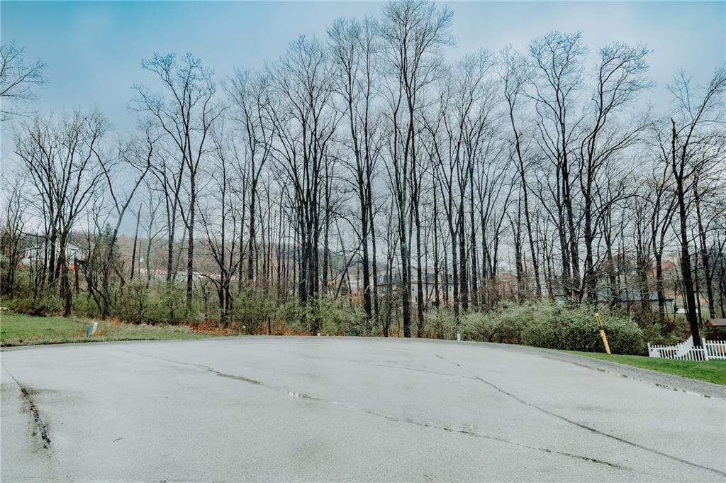 0 West Oak Court Indiana, PA 15701 - Photo 7 of 8 a view of backyard with large trees