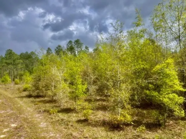 $180,000 | Northeast 998th Avenue, Branford, FL 32008