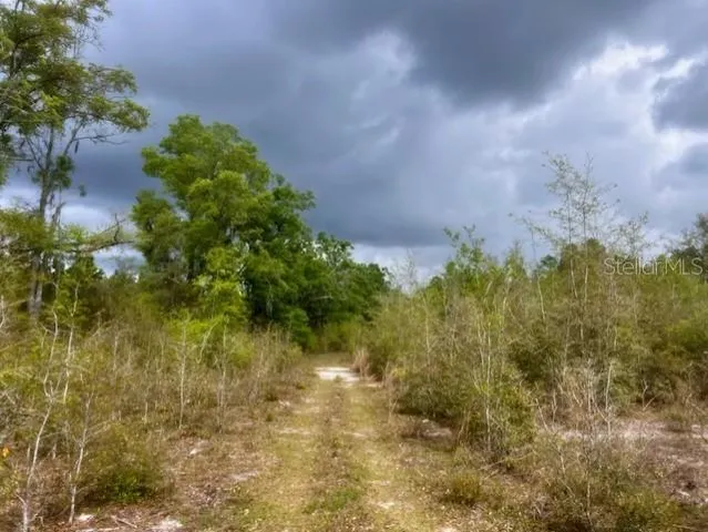 $195,000 | Northeast 998th Avenue, Branford, FL 32008