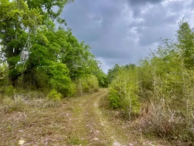 $195,000 | Northeast 998th Avenue, Branford, FL 32008