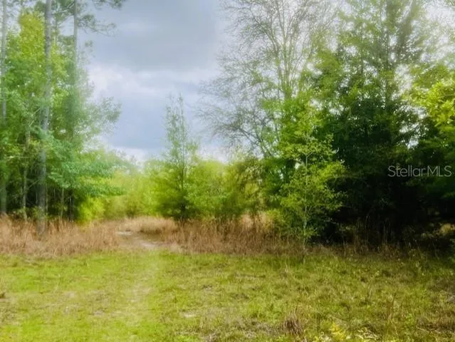 $195,000 | Northeast 998th Avenue, Branford, FL 32008