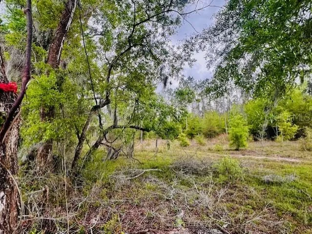 $195,000 | Northeast 998th Avenue, Branford, FL 32008