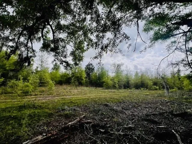 $195,000 | Northeast 998th Avenue, Branford, FL 32008