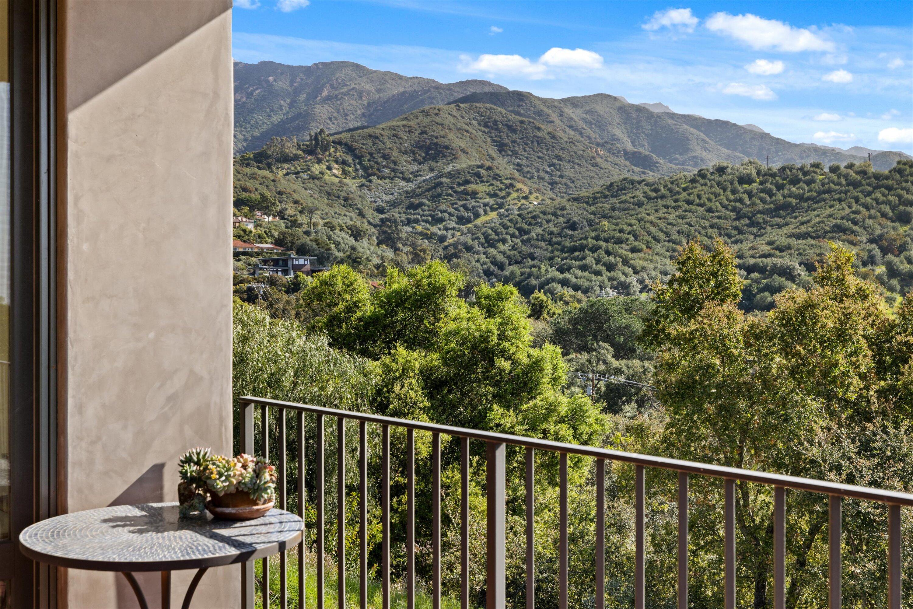 2600 Holly Road Santa Barbara, CA 93105 - Photo 21 of 70 East View of nearby Olive Orchard