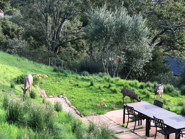 $3,350,000 | 2600 Holly Road, Santa Barbara, CA 93105