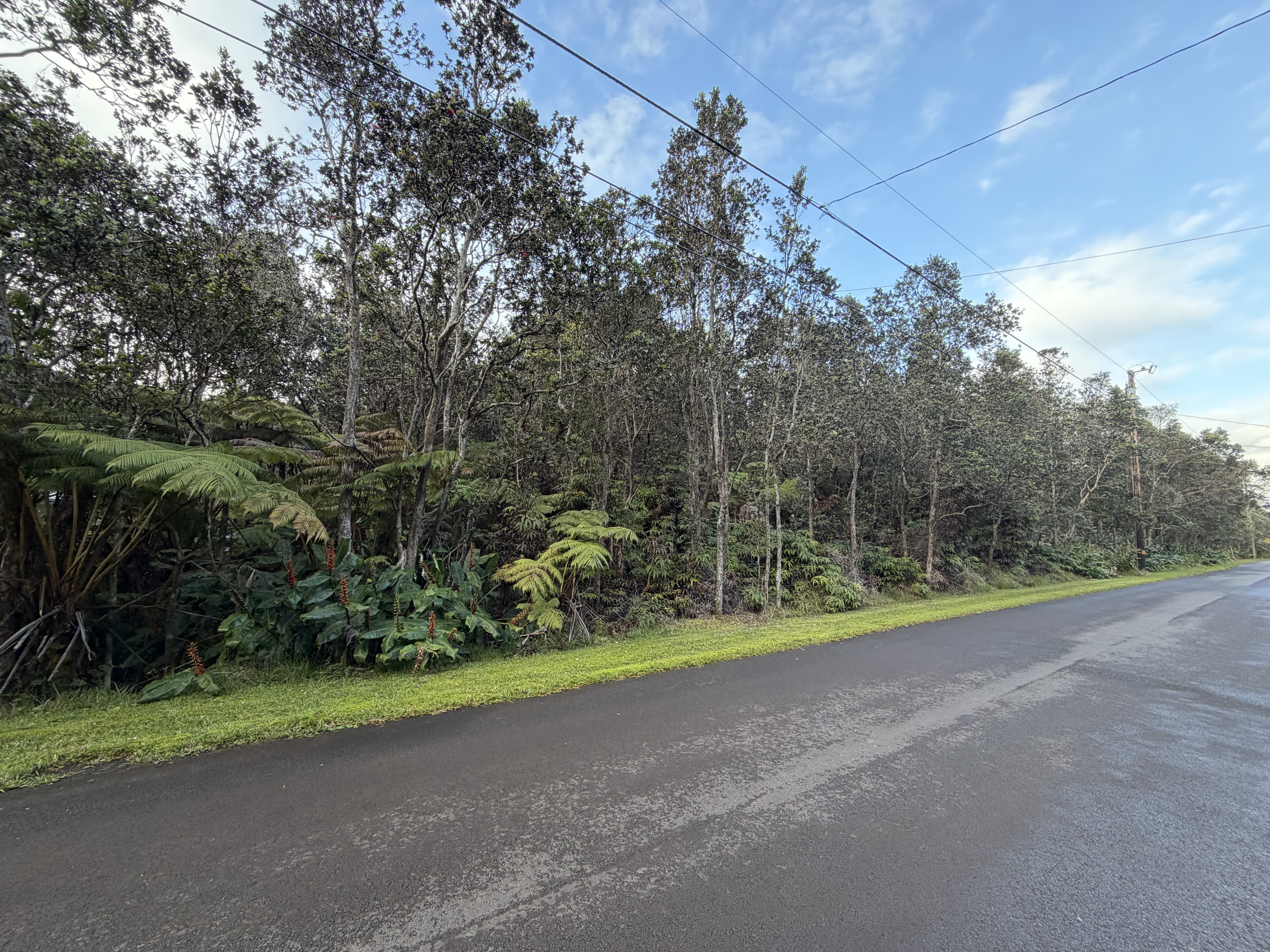 613 7th Street Volcano, HI 96785 - Photo 1 of 3 a view of a field with plants and trees