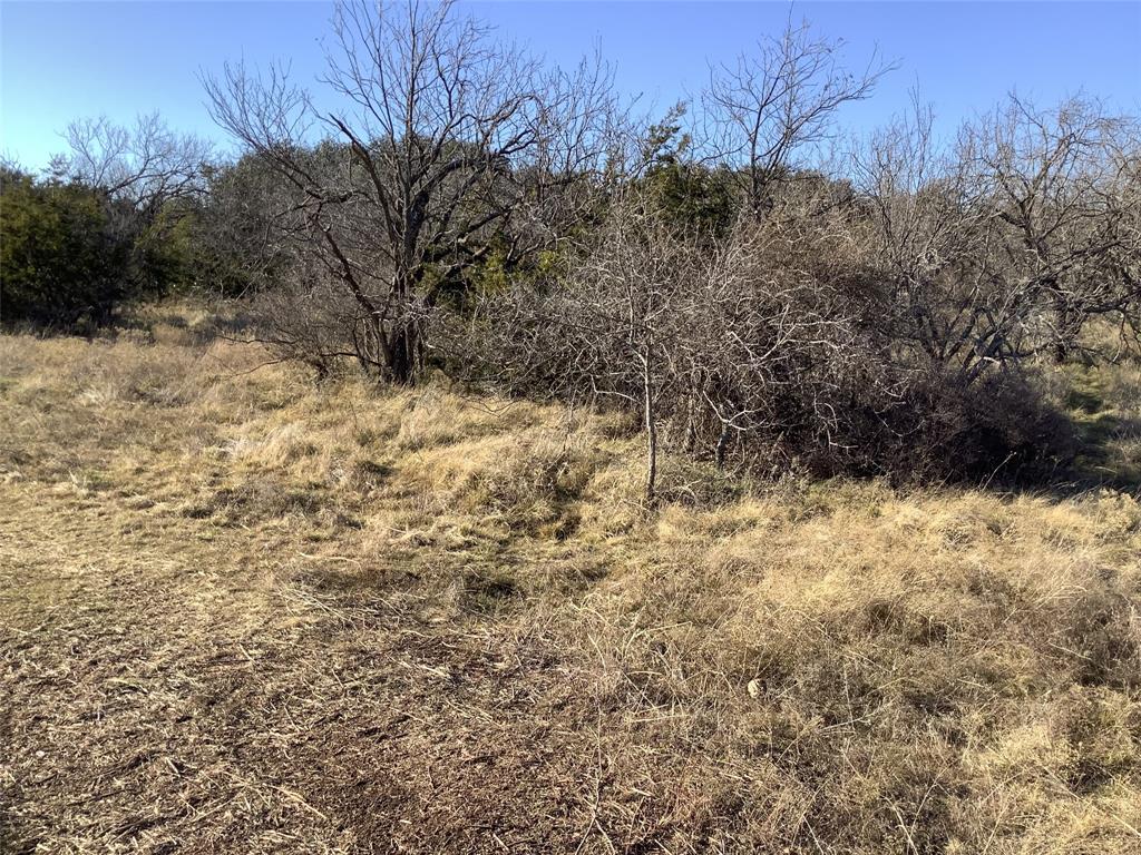 343 Merkel Tx 79536 Merkel, TX 79536 - Photo 6 of 12 a view of a dry yard covered with snow in front of house