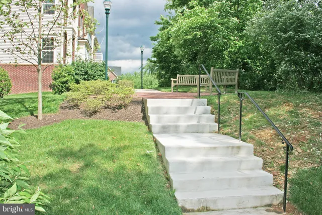 a view of garden with plants