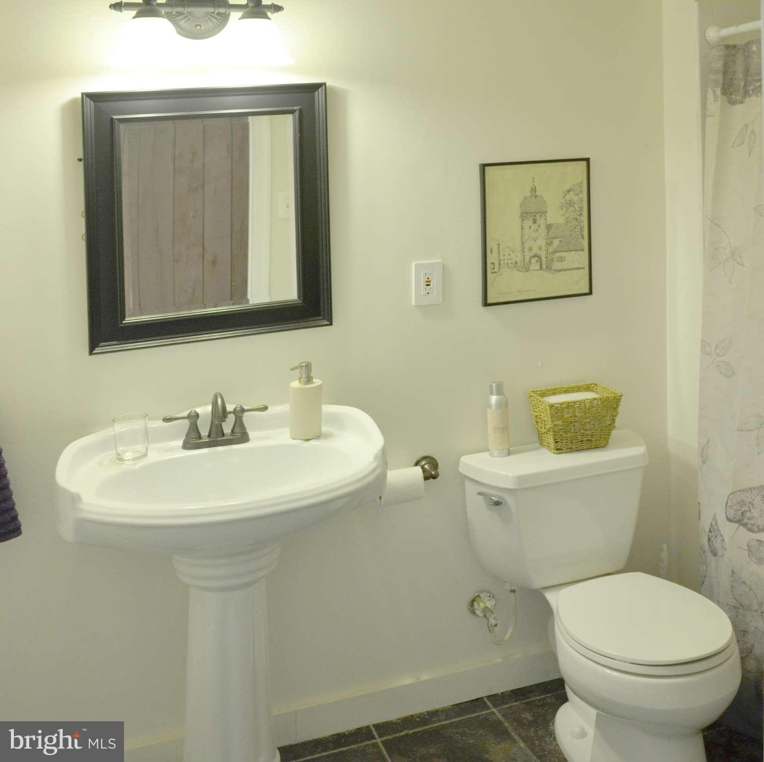 20610 Bucklodge Road Boyds, MD 20841 - Photo 13 of 19 Bath