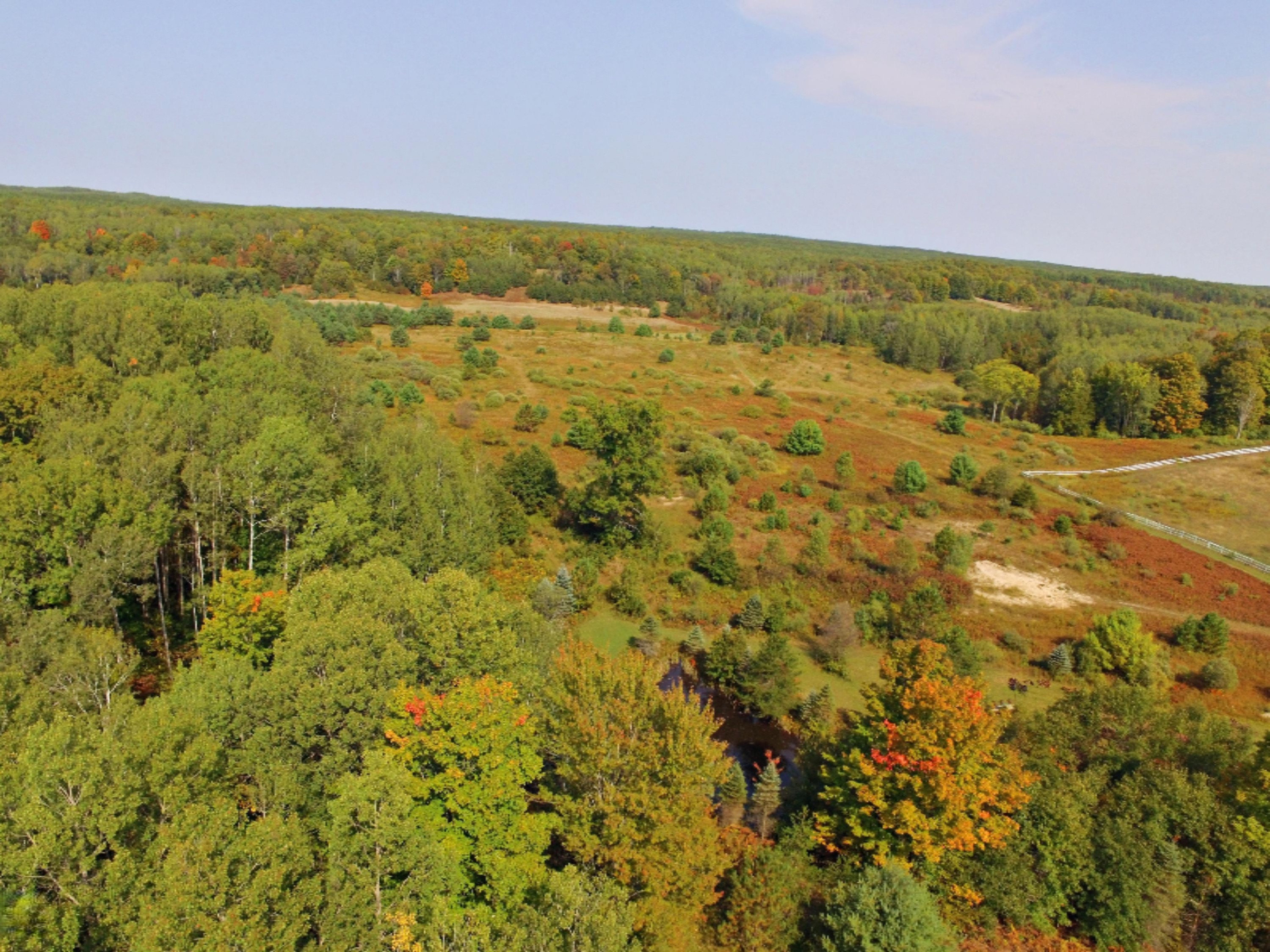 7368 East 9 Mile Road Luther, MI 49656 - Photo 8 of 49 Pic1