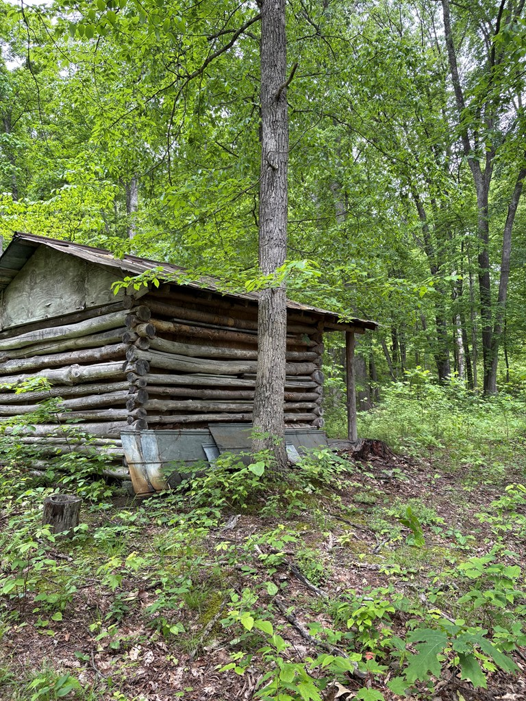3195 Osborne Mountain Road Raven, VA 24639 - Photo 23 of 31 Gallery Image 23