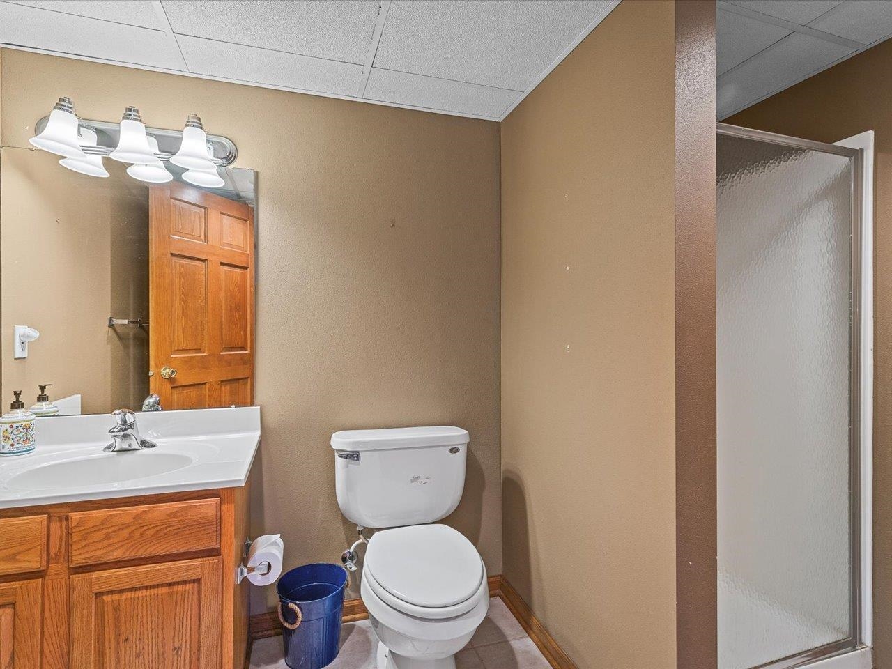 11865 Banchary Road Belvidere, IL 61008 - Photo 54 of 65 a bathroom with a toilet a sink and a large mirror