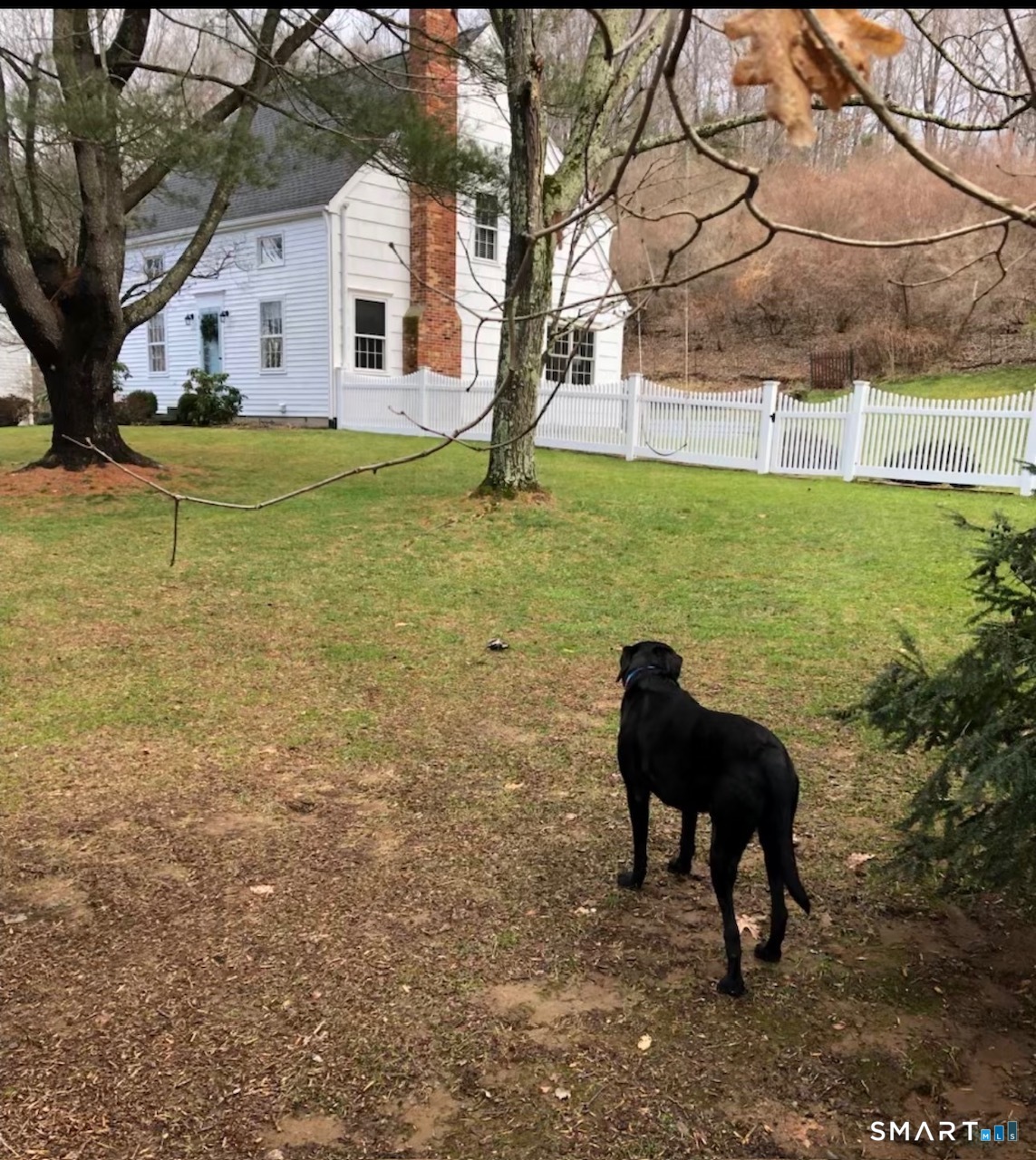 16 A Pole Bridge Road Newtown, CT 06482 - Photo 25 of 27 a yard with some trees in the background