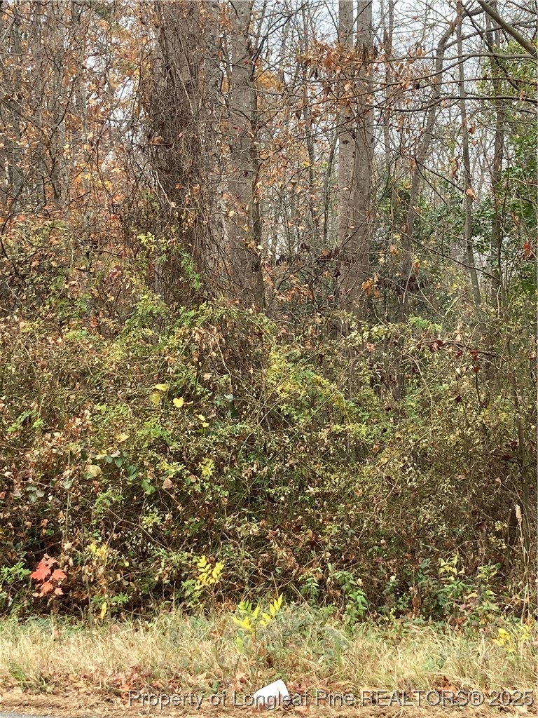1333 Caldwell Williams Road Charlotte, NC 28216 - Photo 3 of 5 a view of a yard