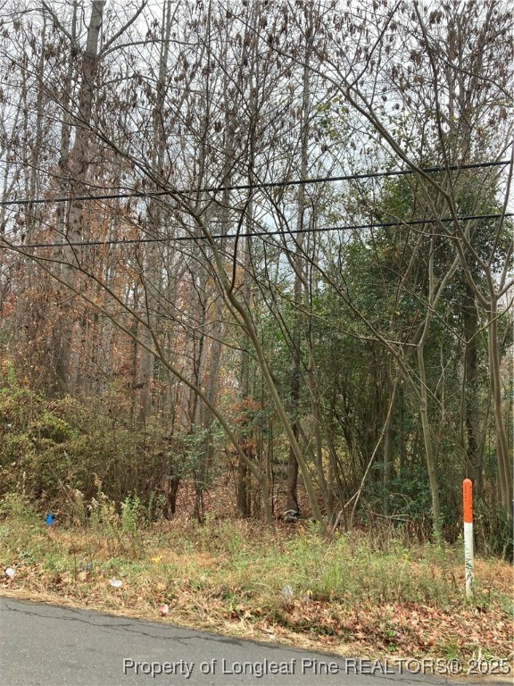 1333 Caldwell Williams Road Charlotte, NC 28216 - Photo 5 of 5 a backyard of a house with lots of green space