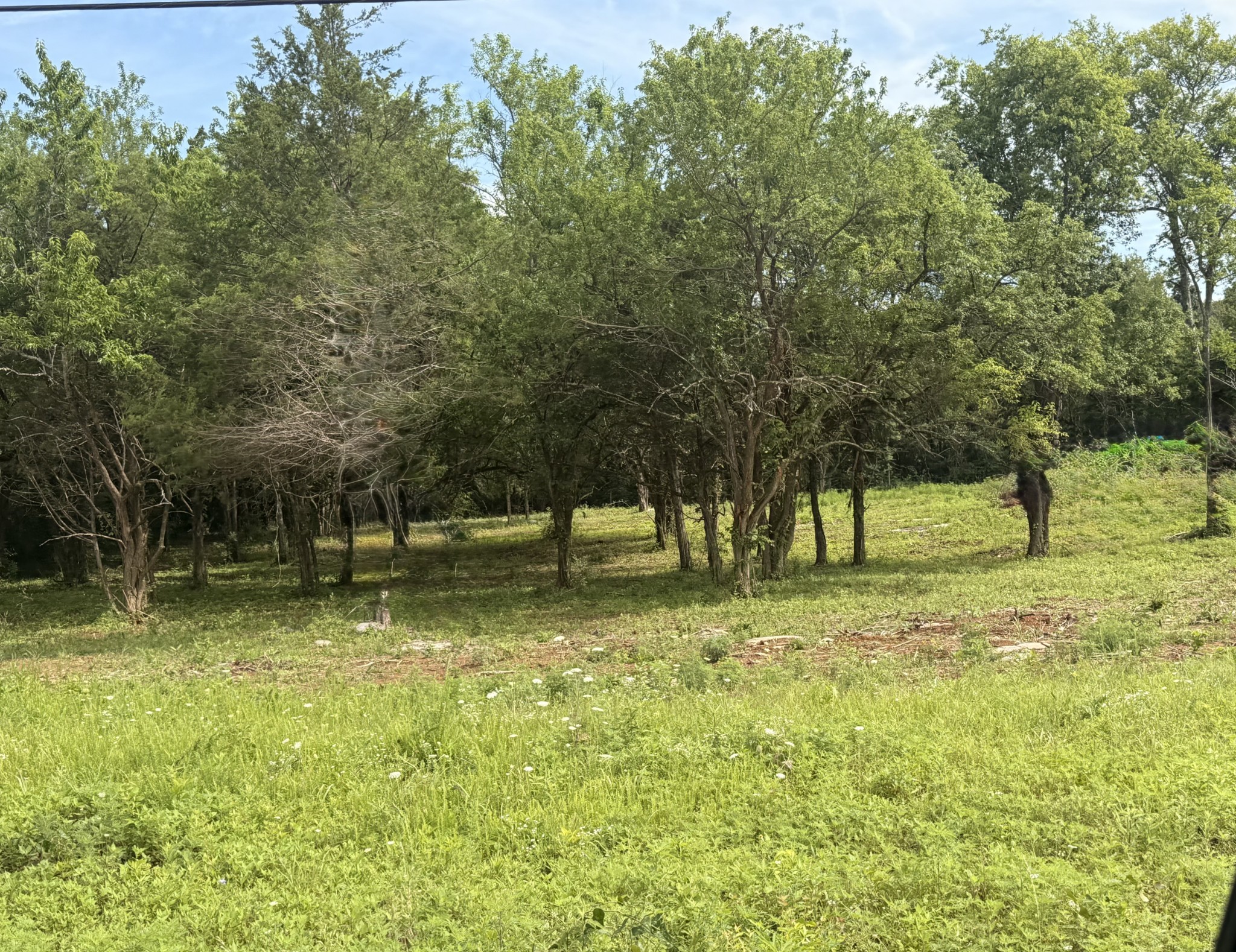 6730 Burnt Knob Road Murfreesboro, TN 37129 - Photo 7 of 7