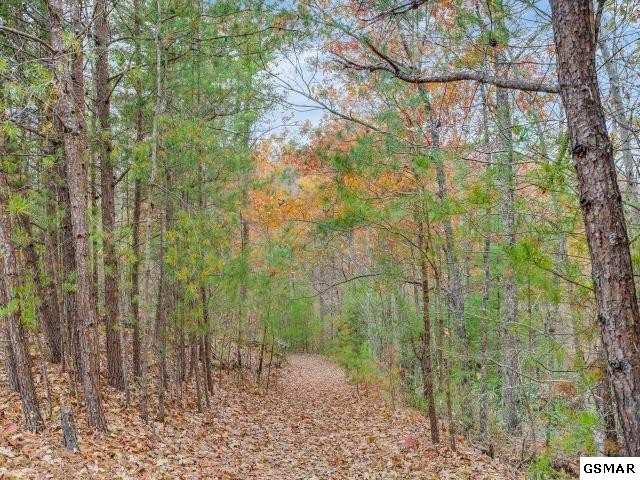 4357 Wilhite Road Cosby, TN 37722 - Photo 28 of 35 Gallery Image 28