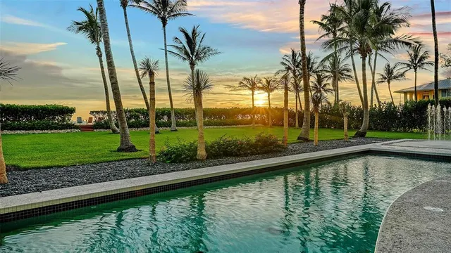 a view of a lake with a palm tree