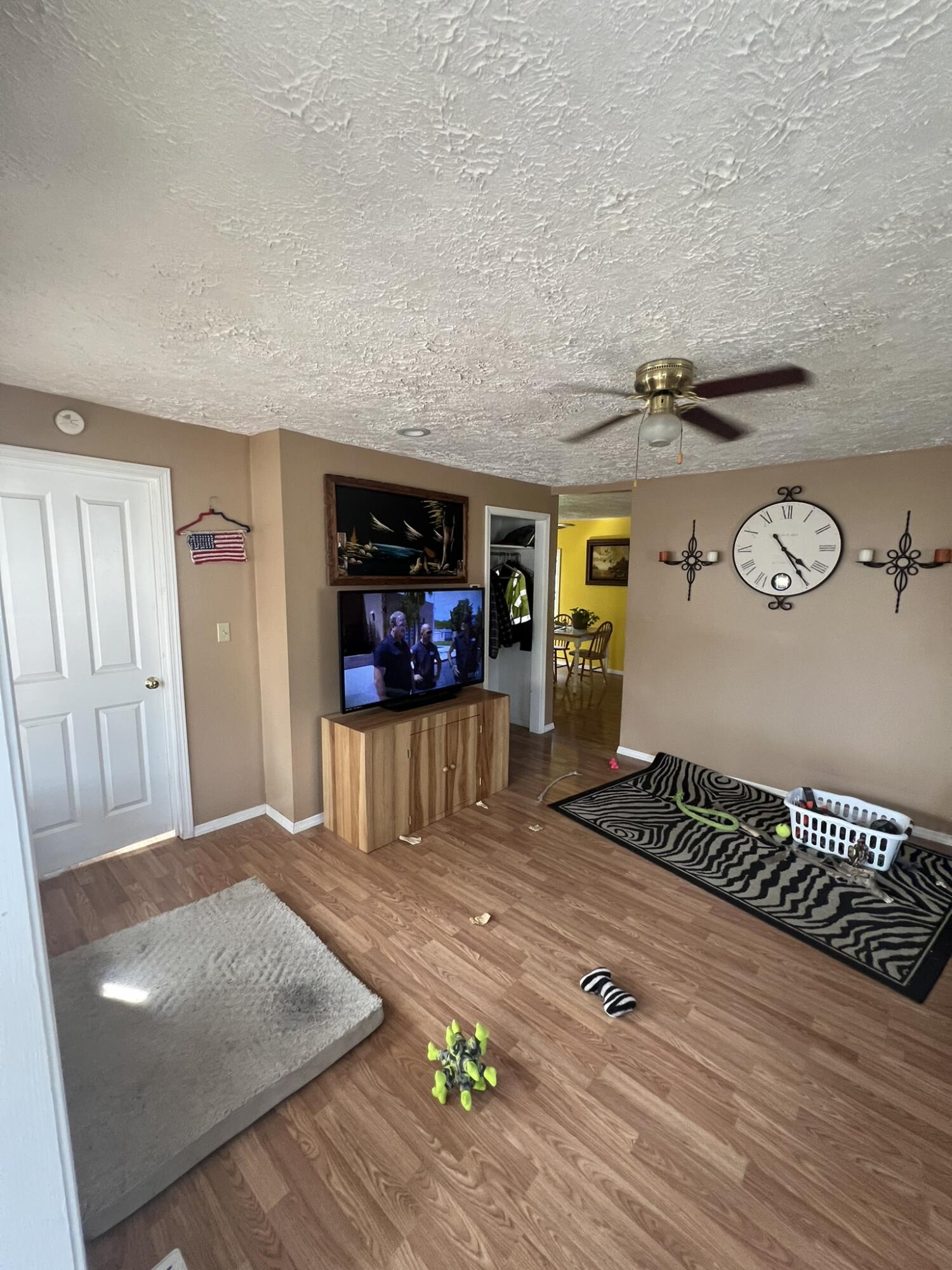 125 East Edgar Bergen Boulevard Decatur, MI 49045 - Photo 5 of 13 IMG_6014