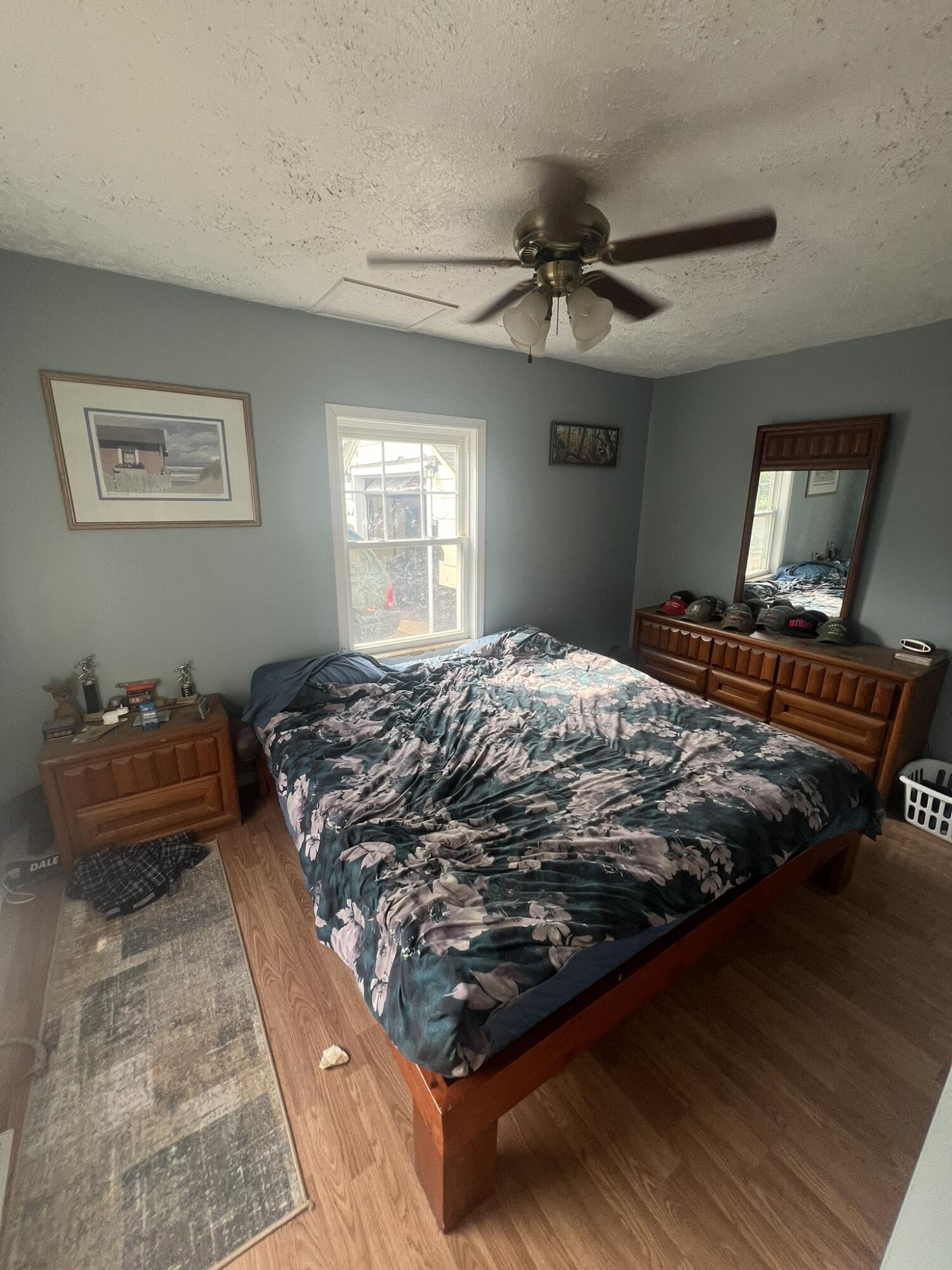 125 East Edgar Bergen Boulevard Decatur, MI 49045 - Photo 6 of 13 IMG_6041