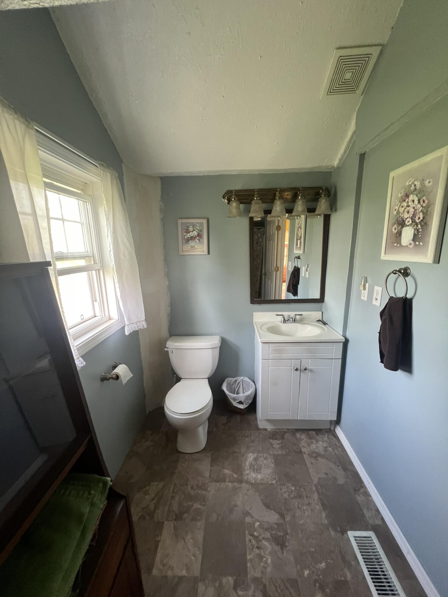 125 East Edgar Bergen Boulevard Decatur, MI 49045 - Photo 7 of 13 IMG_6021