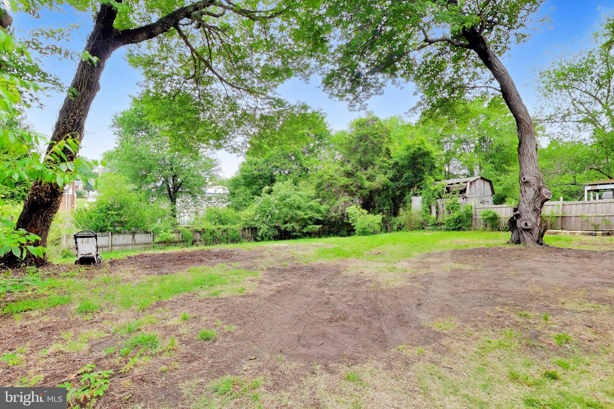 11309 Keystone Avenue Clinton, MD 20735 - Photo 33 of 36 a view of a yard with of trees