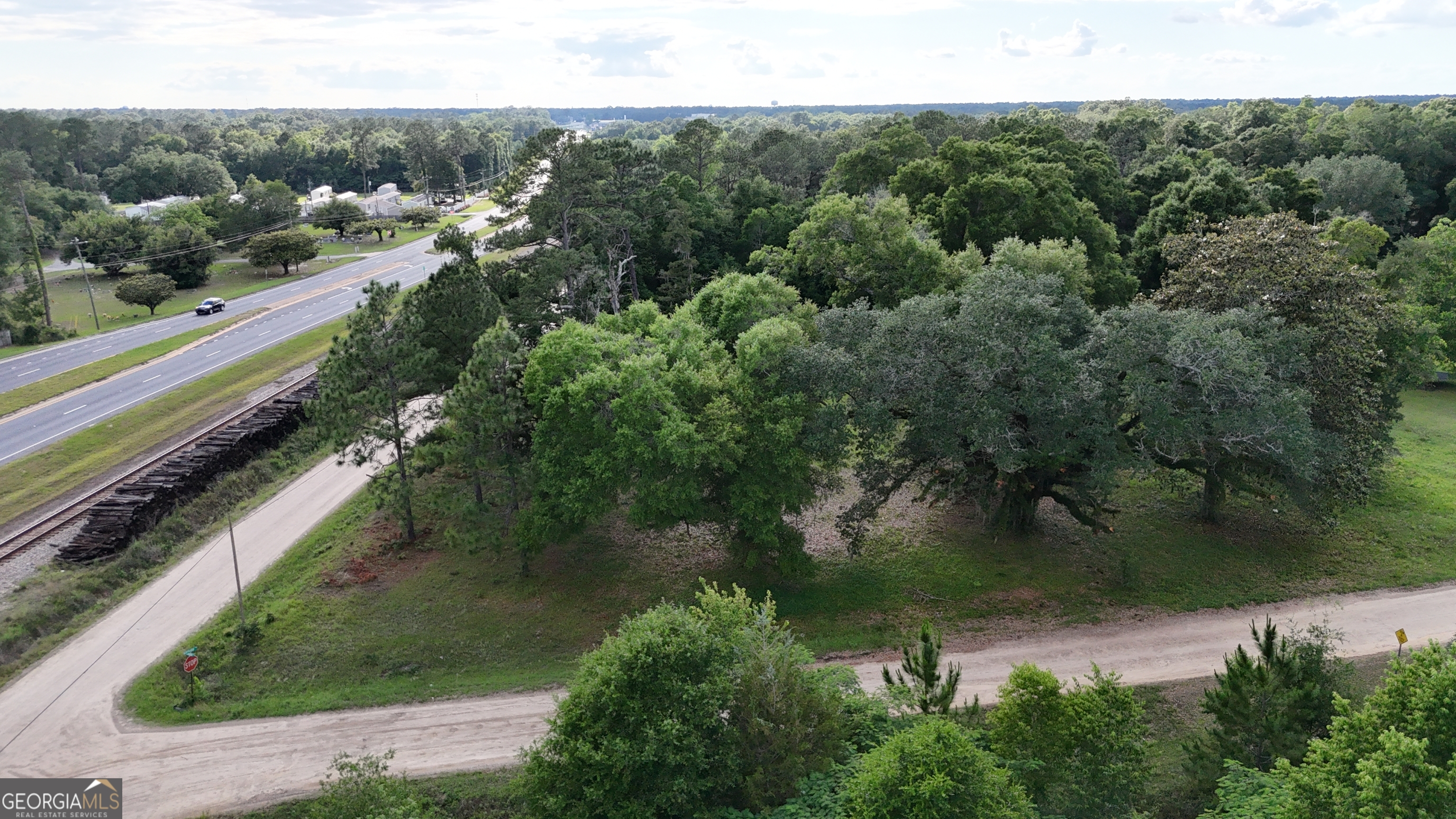 92-acre Butler Street Bainbridge, GA 39817 - Photo 6 of 13