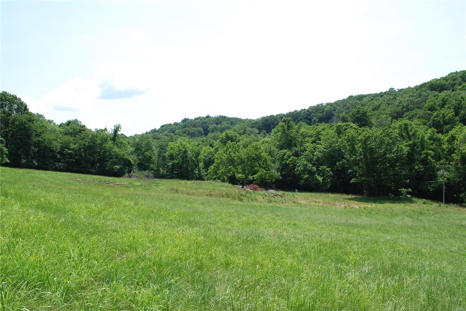 618 Wengler Road Pacific, MO 63069 - Photo 11 of 24 Gallery Image 11