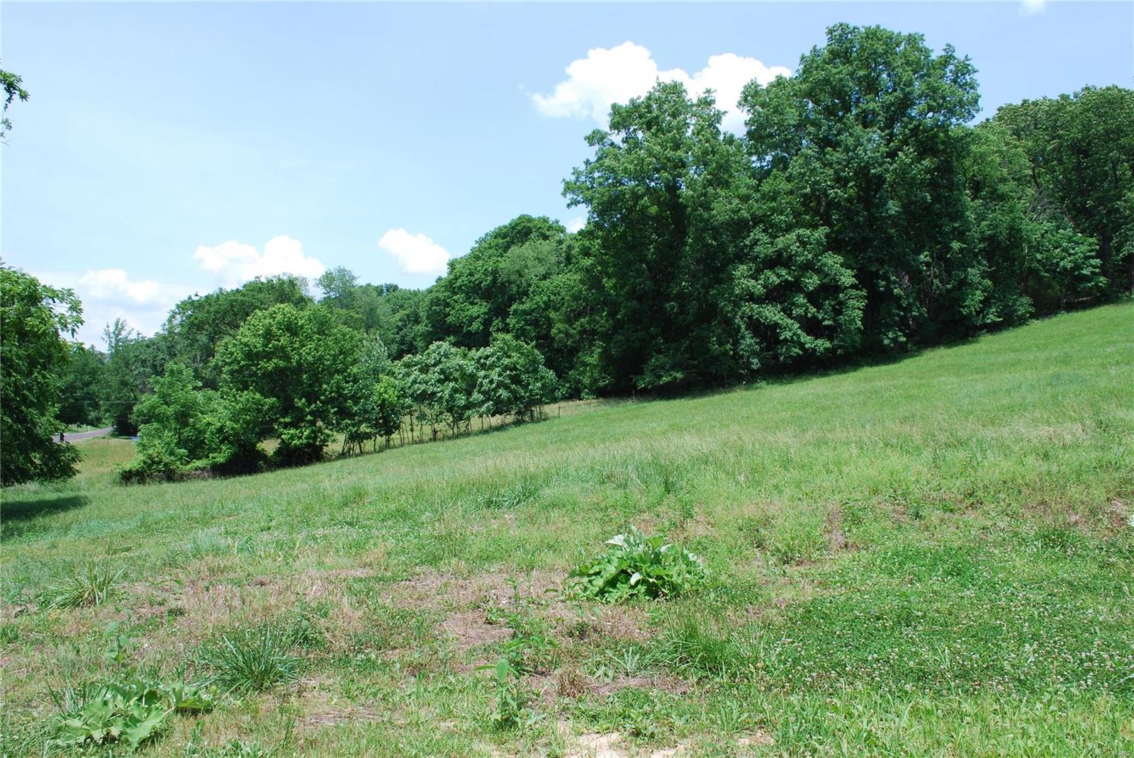 618 Wengler Road Pacific, MO 63069 - Photo 14 of 24 Gallery Image 14