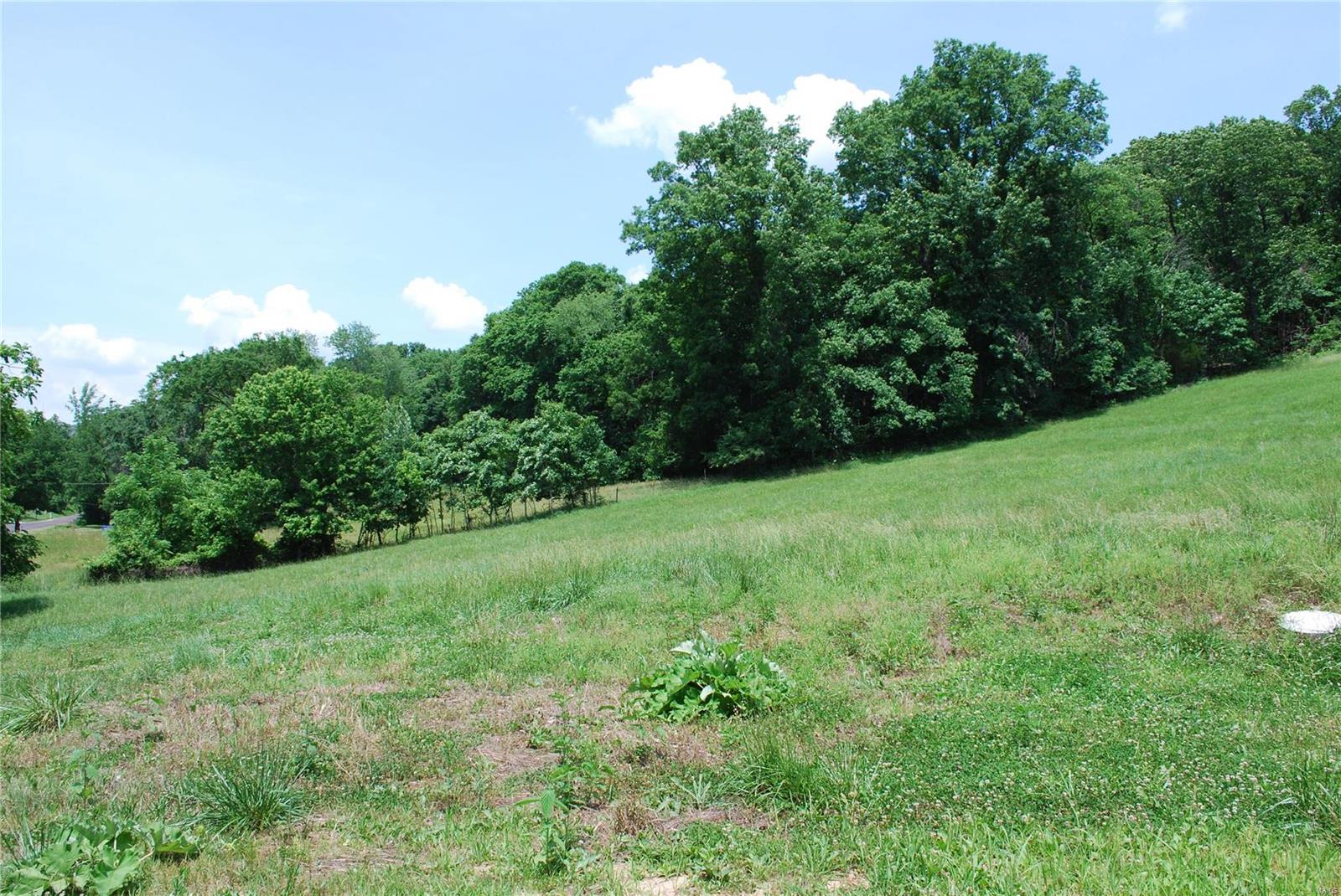 618 Wengler Road Pacific, MO 63069 - Photo 15 of 24 Gallery Image 15