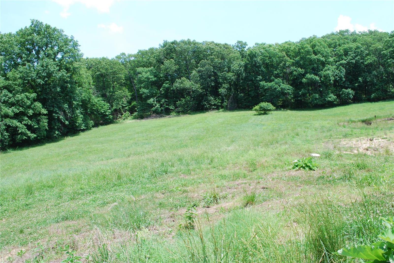 618 Wengler Road Pacific, MO 63069 - Photo 16 of 24 Gallery Image 16