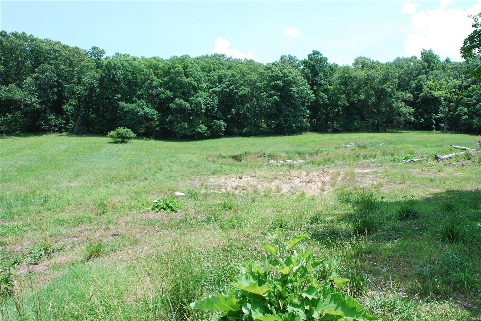 618 Wengler Road Pacific, MO 63069 - Photo 17 of 24 Gallery Image 17
