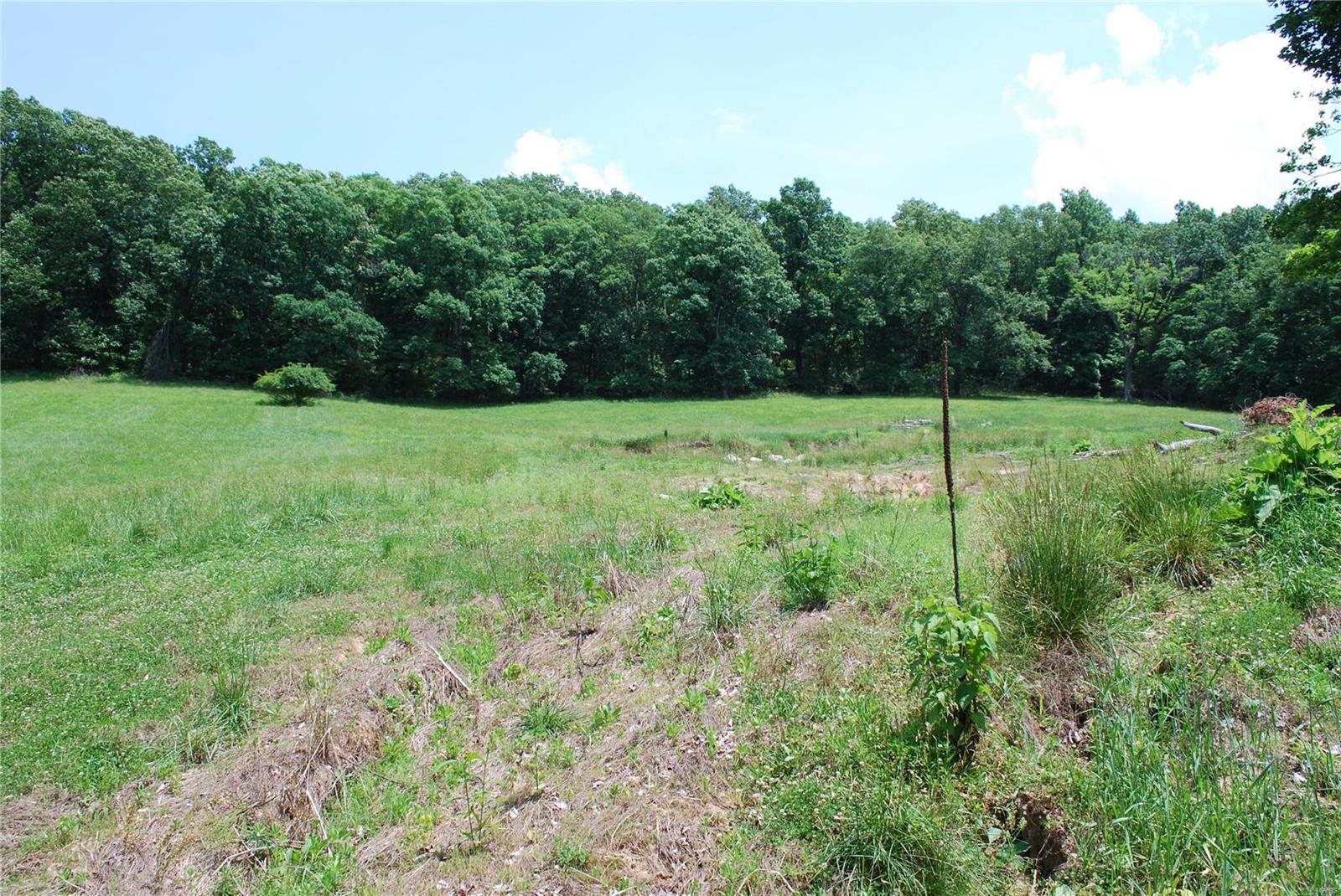 618 Wengler Road Pacific, MO 63069 - Photo 19 of 24 Gallery Image 19
