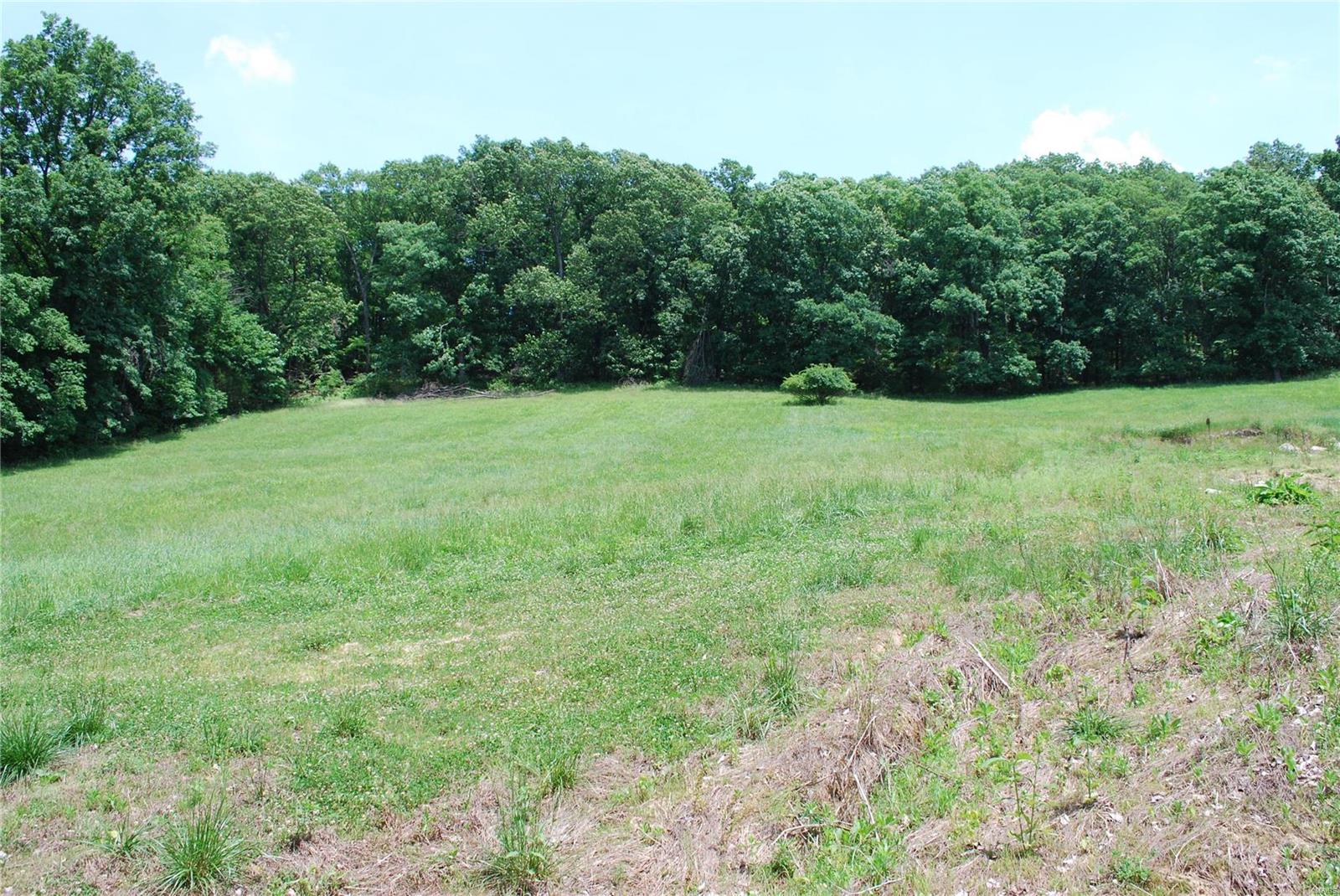 618 Wengler Road Pacific, MO 63069 - Photo 20 of 24 Gallery Image 20
