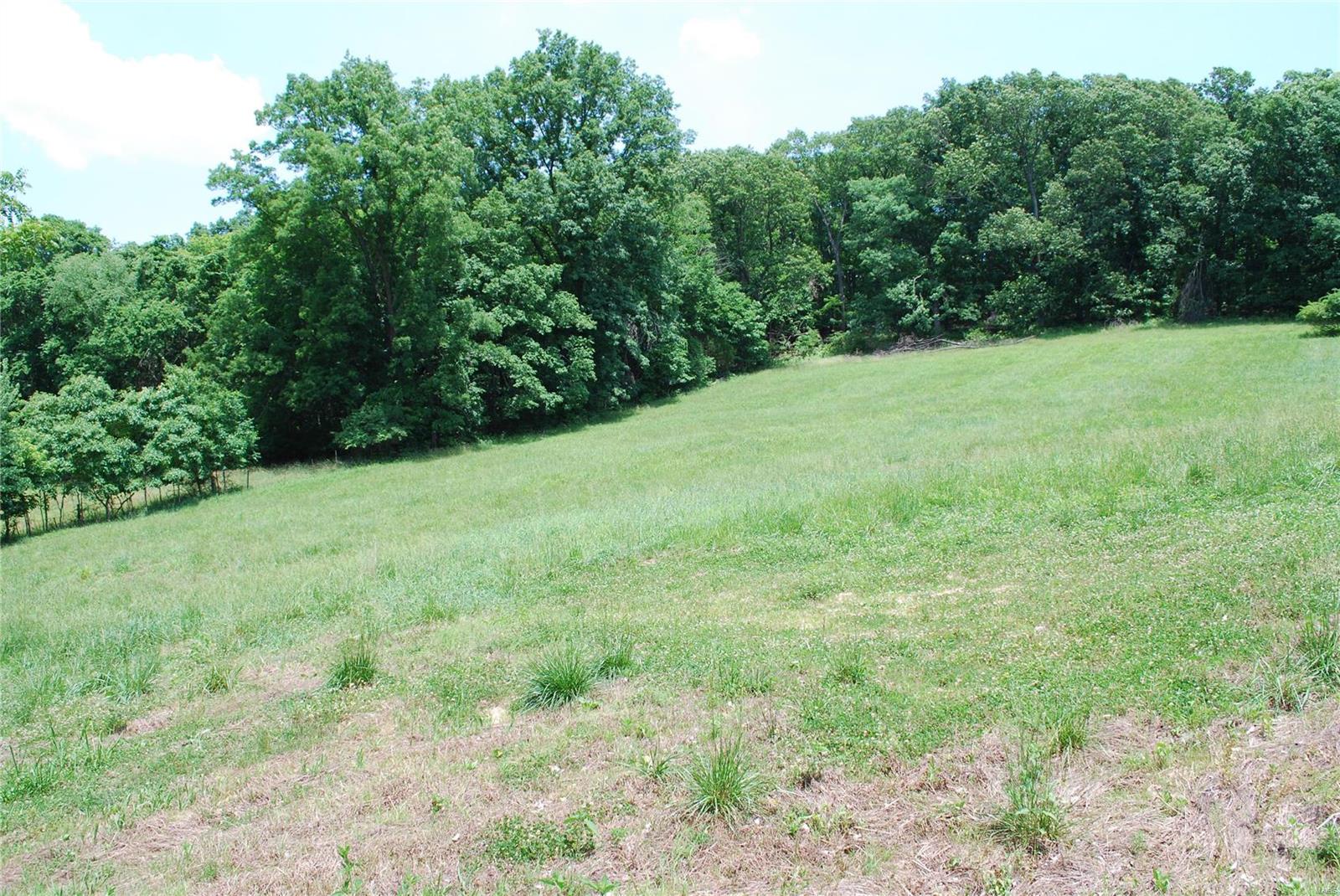 618 Wengler Road Pacific, MO 63069 - Photo 21 of 24 Gallery Image 21