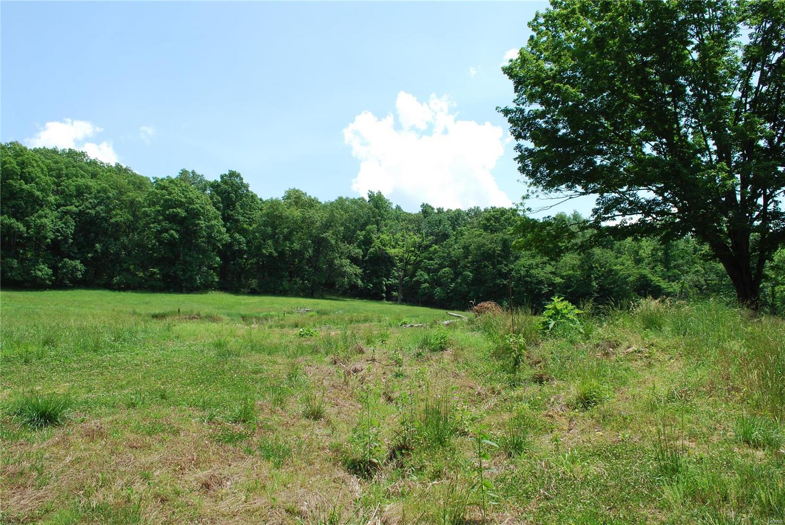 618 Wengler Road Pacific, MO 63069 - Photo 22 of 24 Gallery Image 22