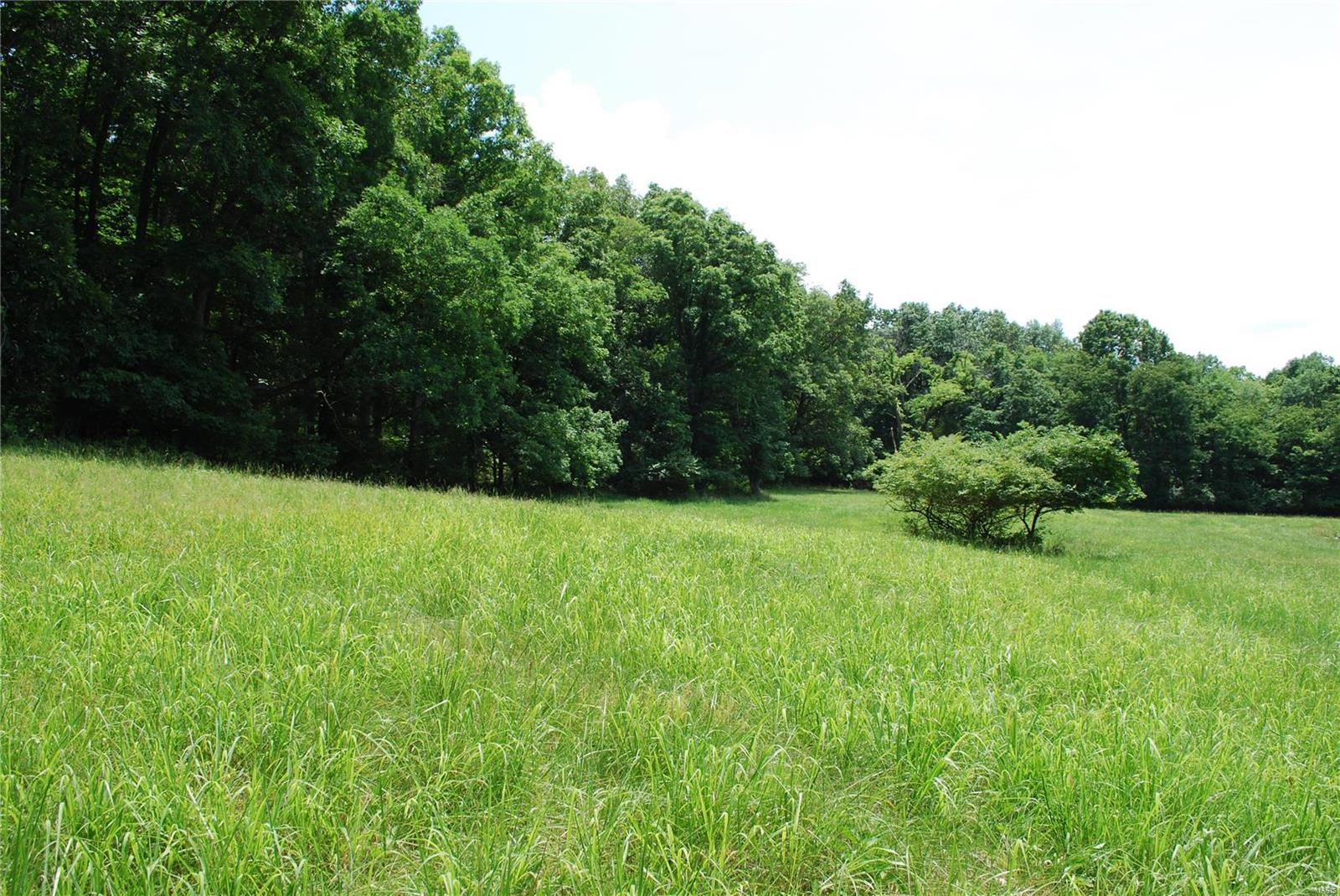 618 Wengler Road Pacific, MO 63069 - Photo 5 of 24 Gallery Image 5