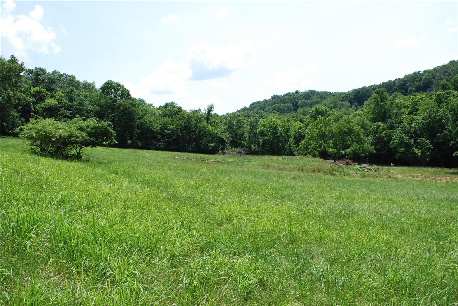 618 Wengler Road Pacific, MO 63069 - Photo 6 of 24 Gallery Image 6