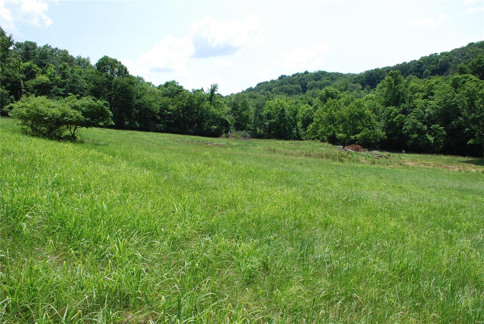 618 Wengler Road Pacific, MO 63069 - Photo 7 of 24 Gallery Image 7