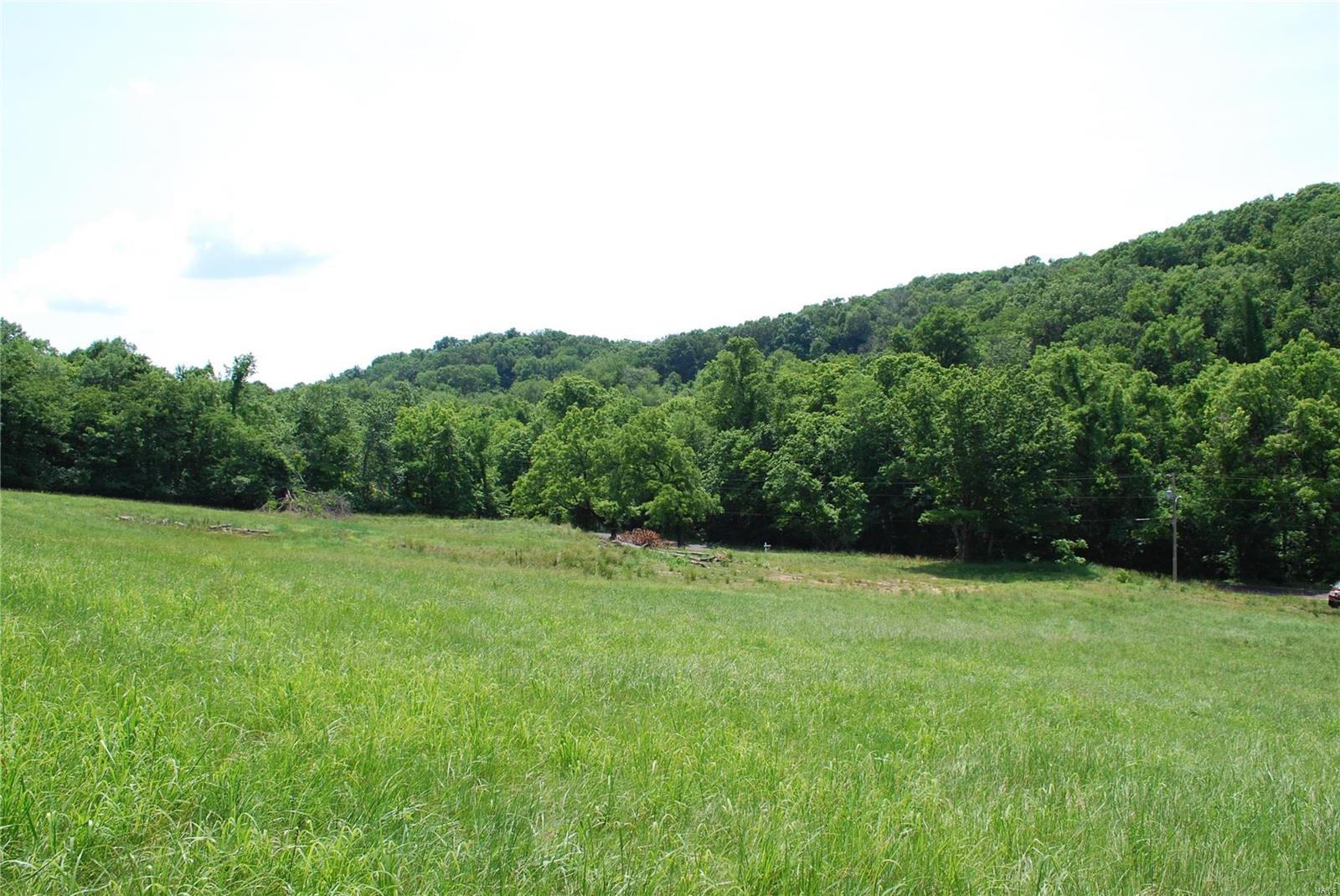 618 Wengler Road Pacific, MO 63069 - Photo 9 of 24 Gallery Image 9