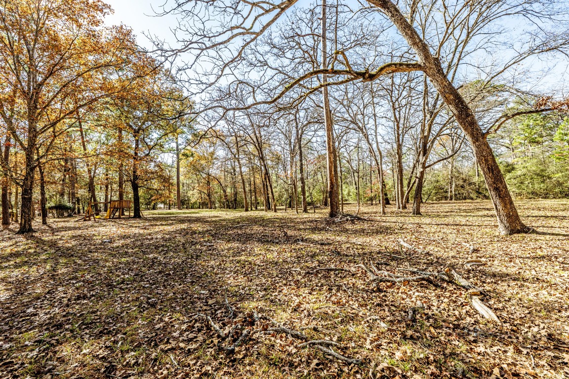 179 Main Street Huntsville, TX 77340 - Photo 28 of 41