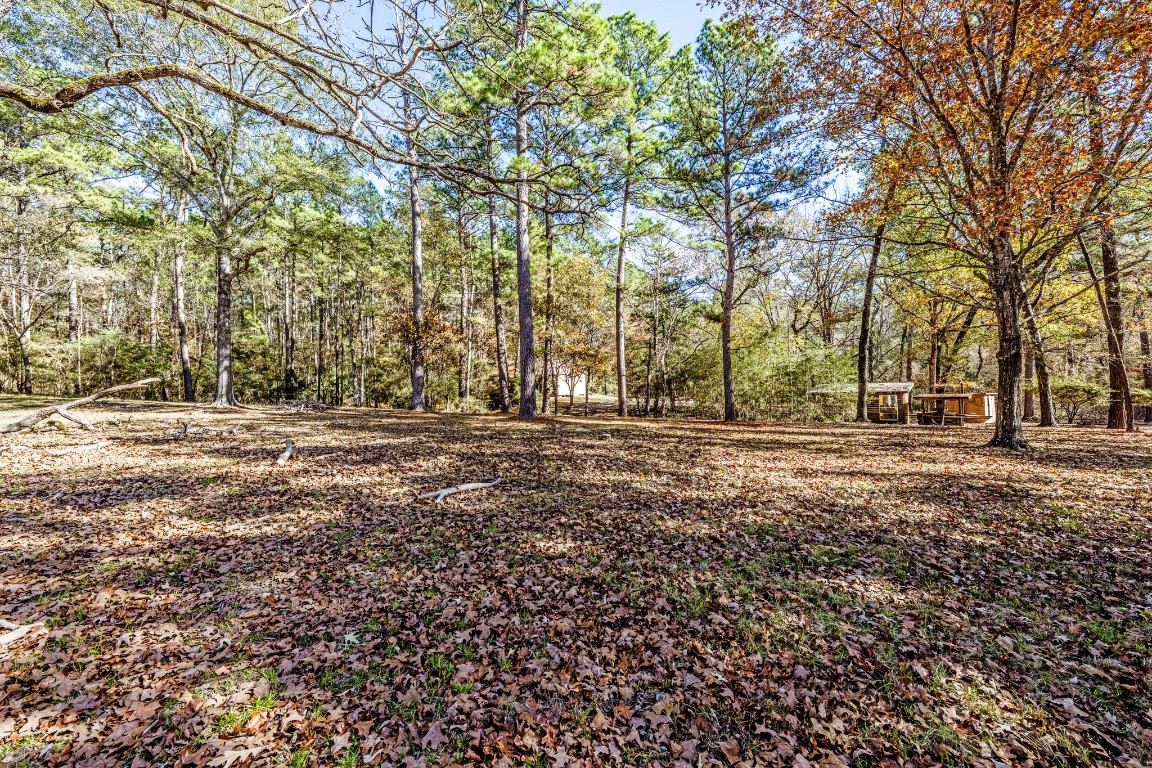 179 Main Street Huntsville, TX 77340 - Photo 31 of 41