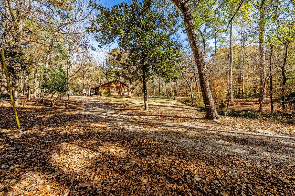 179 Main Street Huntsville, TX 77340 - Photo 5 of 41