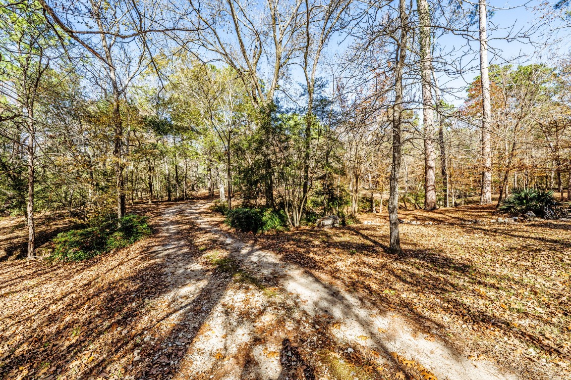 179 Main Street Huntsville, TX 77340 - Photo 6 of 41