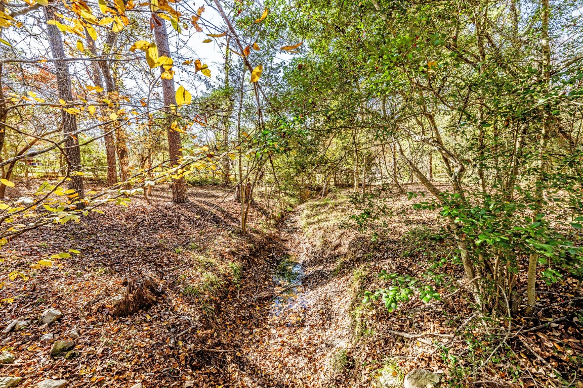 179 Main Street Huntsville, TX 77340 - Photo 7 of 41